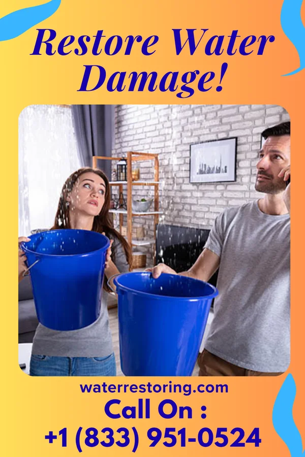 water restoration Eco Storm Damage Partners Dagsboro