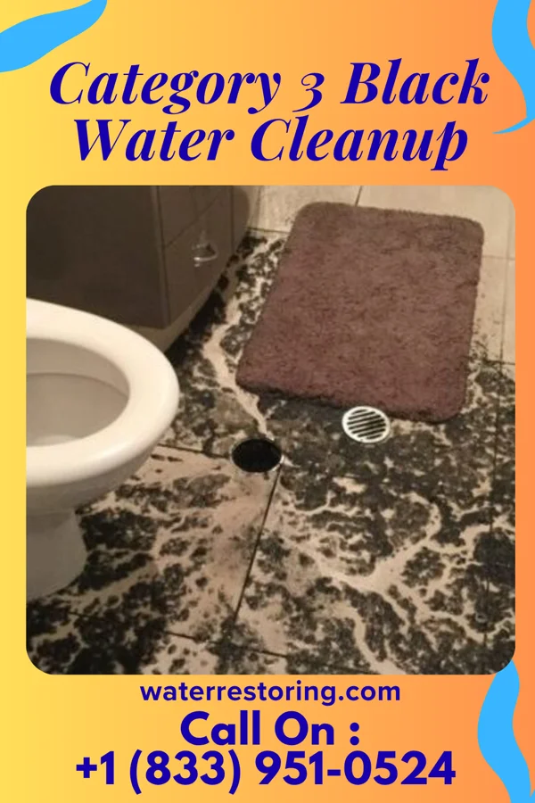 Category 3 Black Water Cleanup in Dagsboro, DE