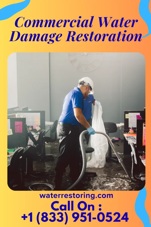Commercial Water Damage Restoration in Dagsboro, DE