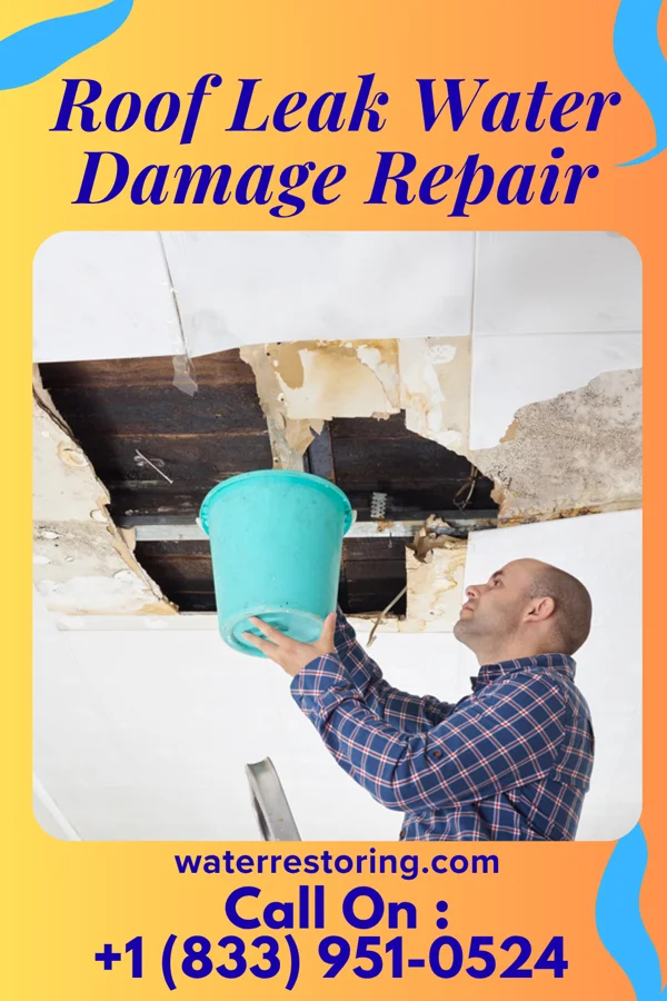 Roof Leak Water Damage Repair in Dagsboro, DE